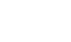 Logo IBONE