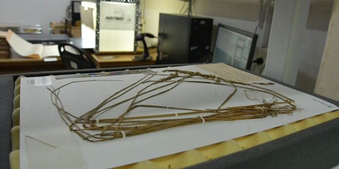 Foto Fondo Novedades