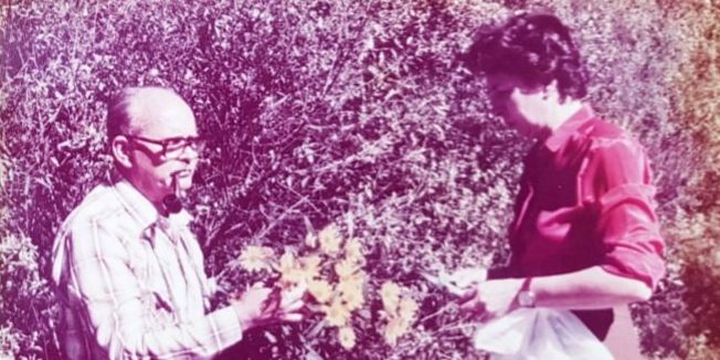 Foto Fondo Novedades