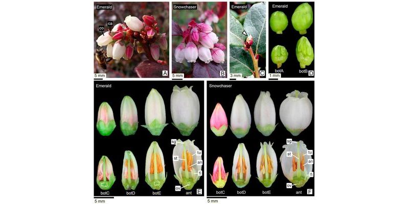 Foto Fondo Novedades