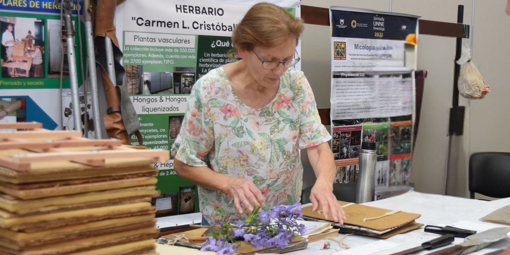 Foto Fondo Novedades